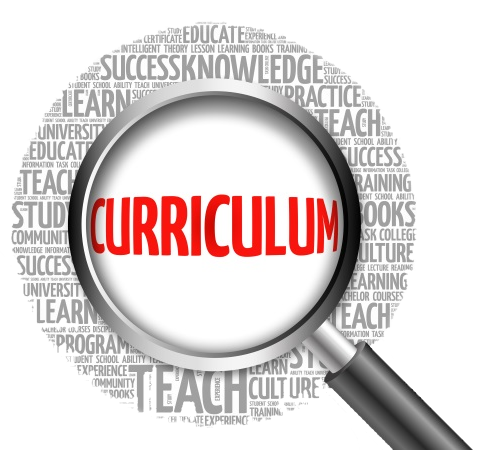 Curriculum Overview | Whitburn Church of England Academy