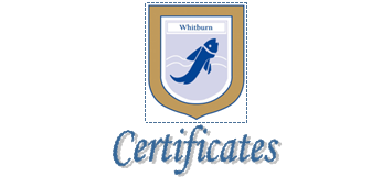 Read more about 2025 GCSE Certificates